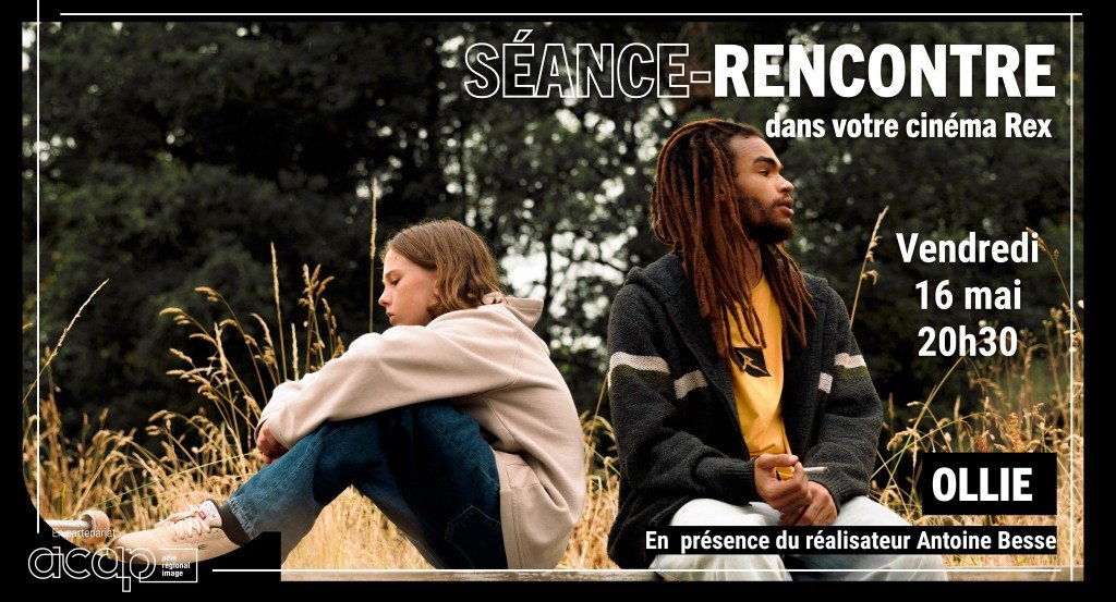 actualité OLLIE
